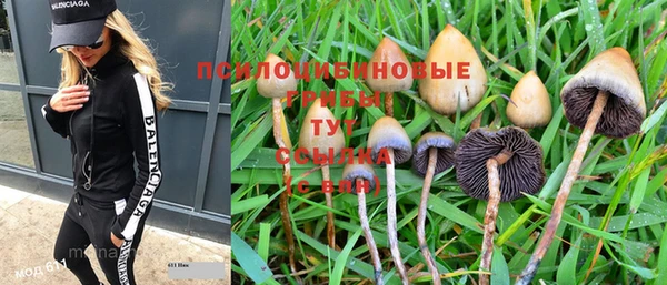 гидропоника Абинск