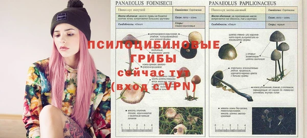 гидропоника Абинск