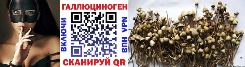 Галлюциногенные грибы ЛСД  Сальск 