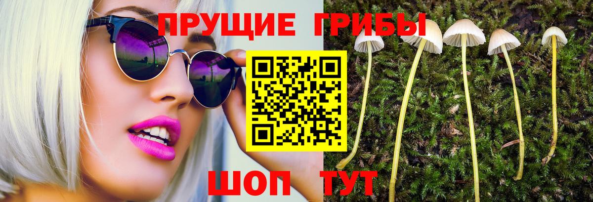 Псилоцибиновые грибы MAGIC MUSHROOMS Сальск