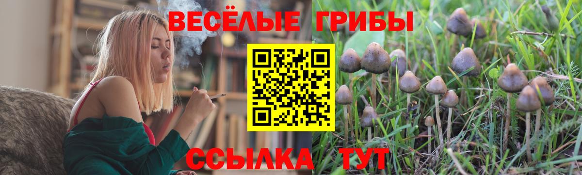 Сальск  Псилоцибиновые грибы мицелий  Вход с VPN 