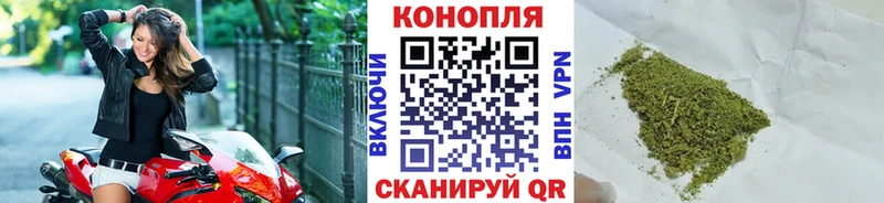 Шишки марихуана план  Сальск 